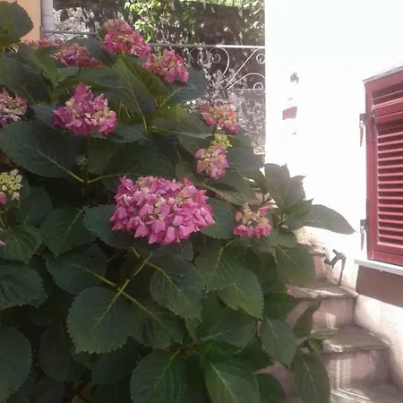 Monolocale Per Coppia *