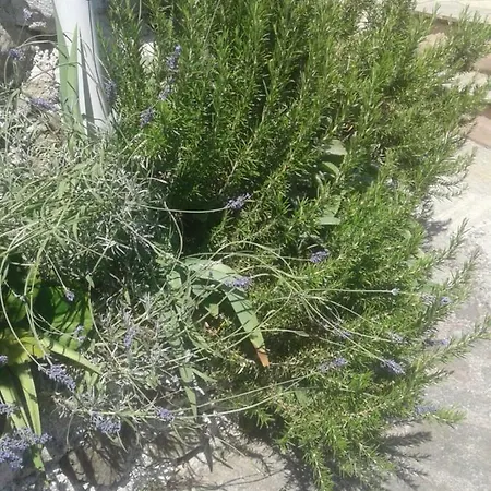 Monolocale Per Coppia Carrodano Inferiore
